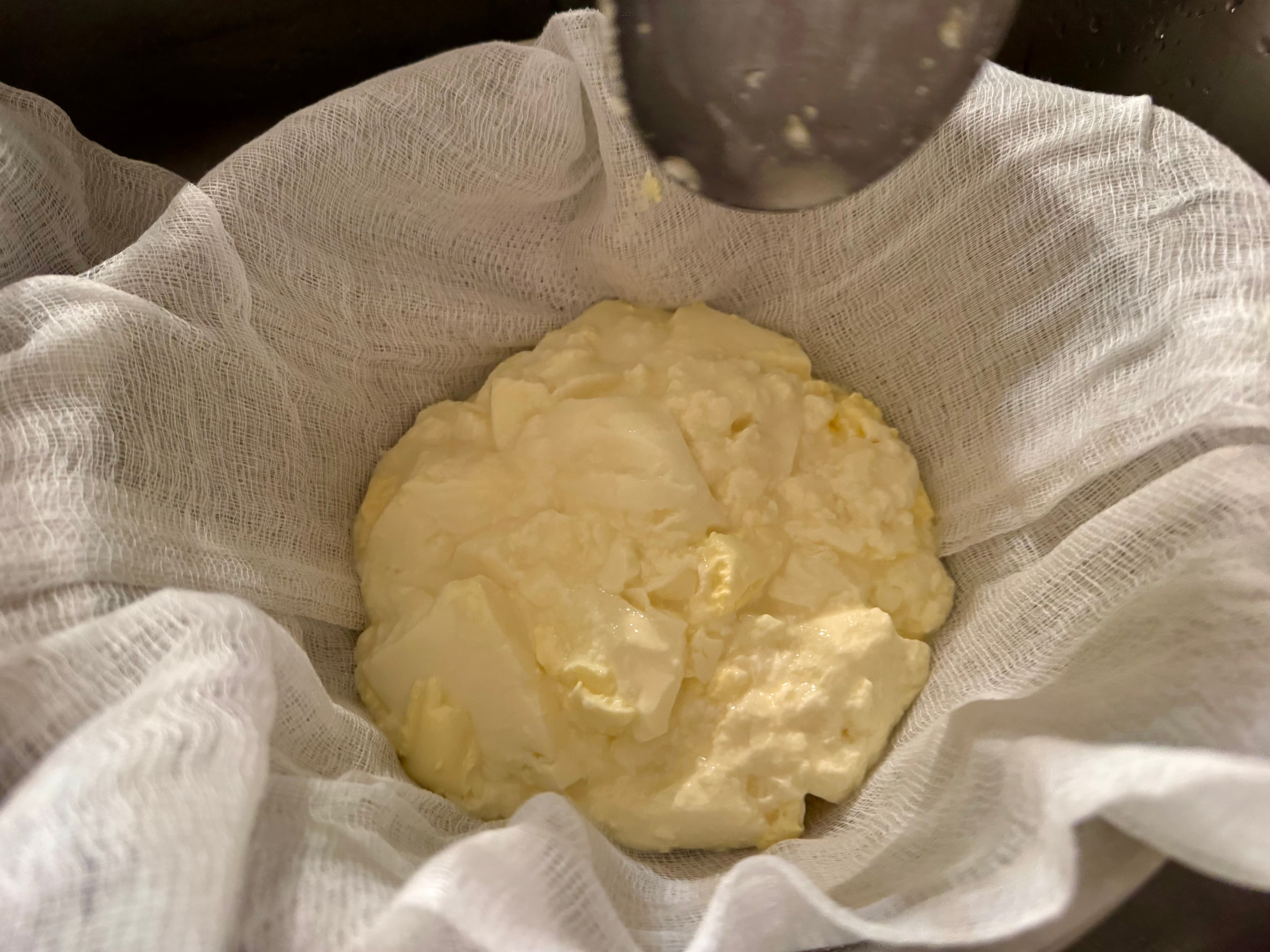 cream-cheese-colander-2025-08-06.jpeg