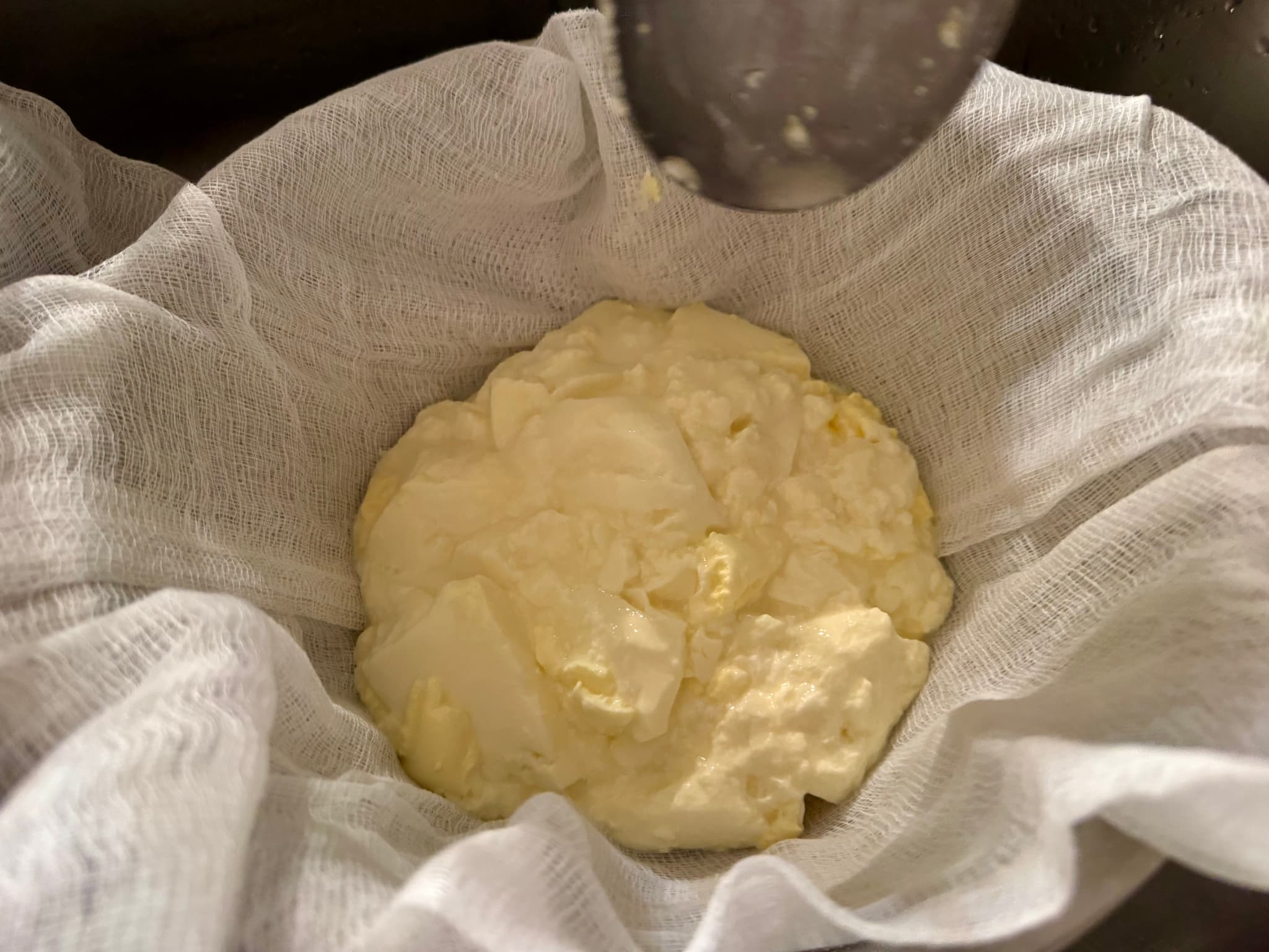 cream-cheese-colander-2025-08-06.jpeg