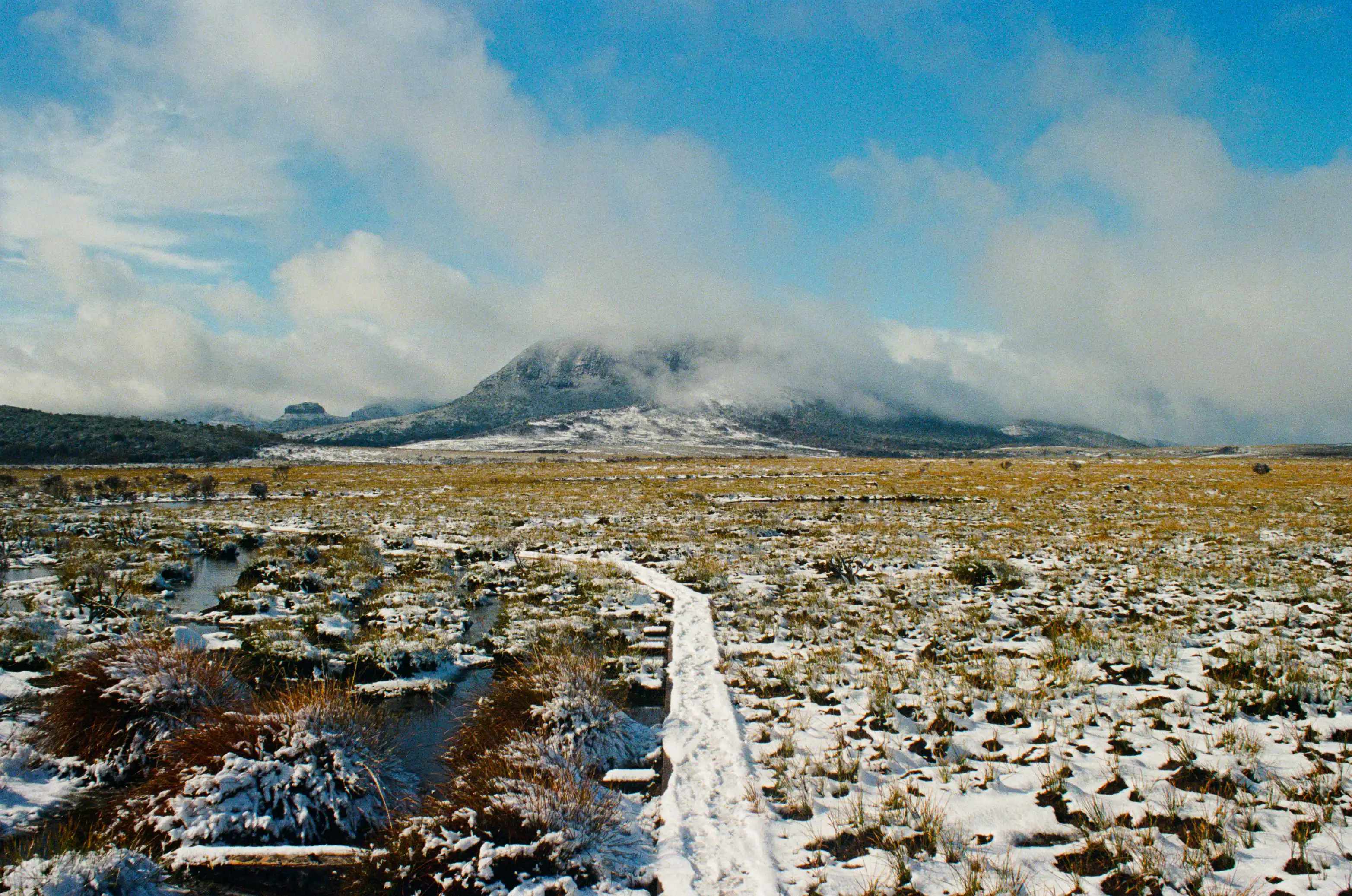 overland-track-boardwalk-mountain-2025-11-11.webp