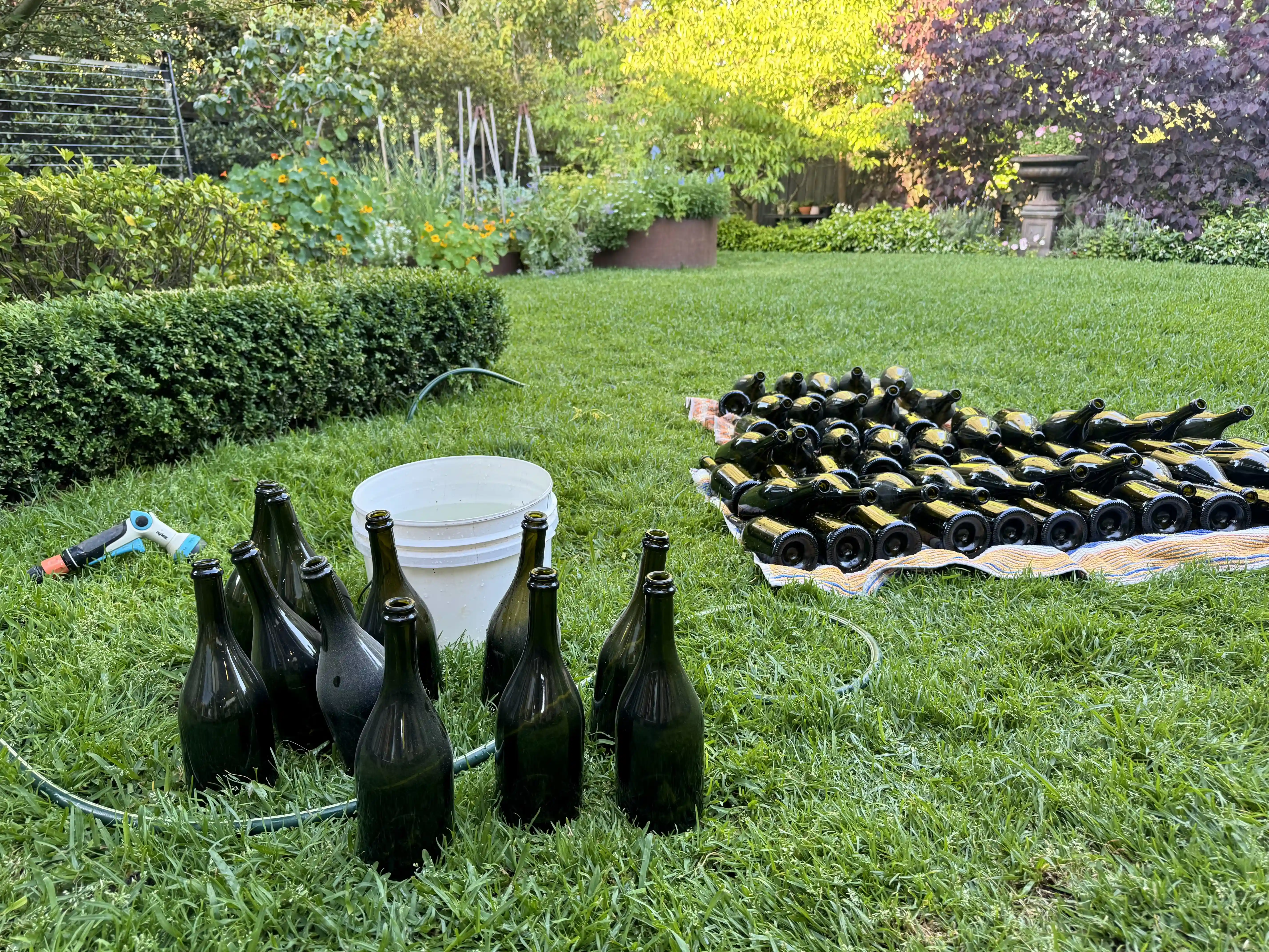 pic-wine-bottle-wash-2025-11-27